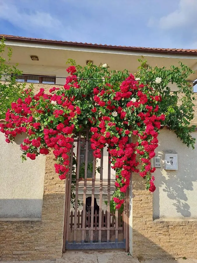 Casa Verde 2 بوخارست 0*,  رومانيا